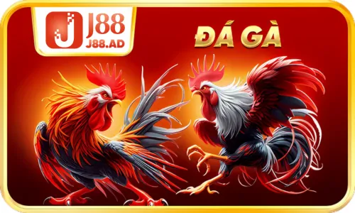 J88 ✔️ j88.com - Link Chính Thức J 88 Tặng 88k - Nhà Cái Uy Tín 2025 game đá gà j88